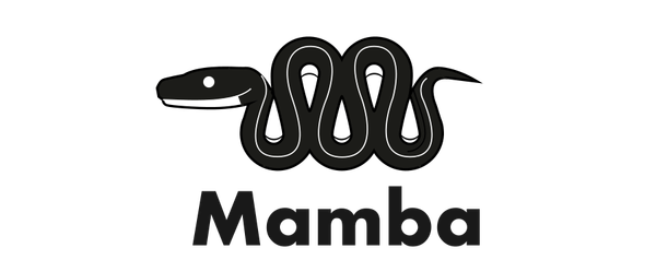 Mamba: a robust alternative to Anaconda package manager